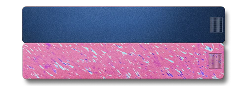 Weekly AM-PM Vitamin Case 2.0 - Image 35