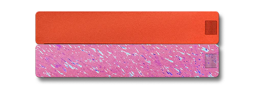 2-Week Pill Case 2.0 - Image 4