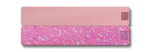2-Week Pill Case 2.0 - Image 9