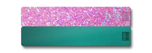 2-Week Pill Case 2.0 - Image 26