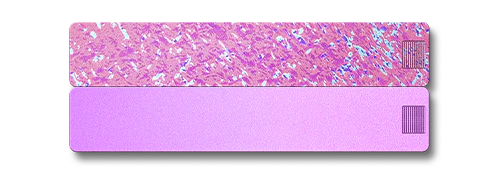 2-Week Pill Case 2.0 - Image 27