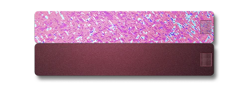2-Week Pill Case 2.0 - Image 27