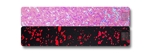 Weekly AM-PM Pill Case 2.0 - Image 26