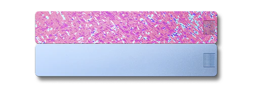 2-Week Pill Case 2.0 - Image 27