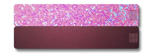 2-Week Vitamin Case 2.0 - Image 26
