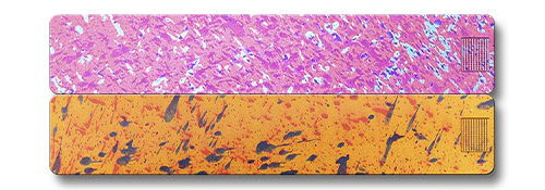 Weekly AM-PM Vitamin Case 2.0 - Image 27