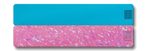Weekly AM-PM Vitamin Case 2.0 - Image 10