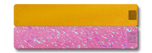 Weekly AM-PM Vitamin Case 2.0 - Image 11