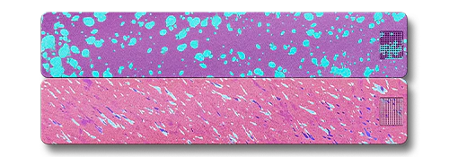 Weekly AM-PM Vitamin Case 2.0 - Image 12