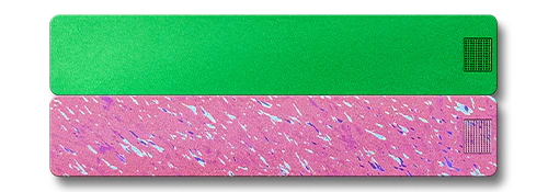 Weekly AM-PM Vitamin Case 2.0 - Image 13