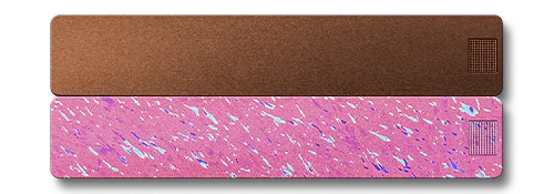 Weekly AM-PM Vitamin Case 2.0 - Image 16
