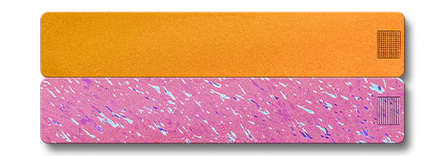 Weekly AM-PM Vitamin Case 2.0 - Image 17