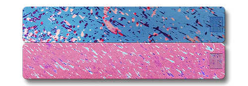 Weekly AM-PM Vitamin Case 2.0 - Image 19