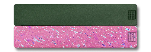 Weekly AM-PM Vitamin Case 2.0 - Image 2