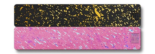 Weekly AM-PM Vitamin Case 2.0 - Image 20