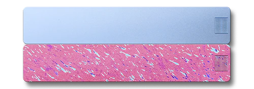 Weekly AM-PM Vitamin Case 2.0 - Image 21