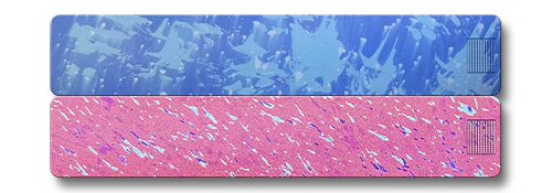 Weekly AM-PM Vitamin Case 2.0 - Image 22