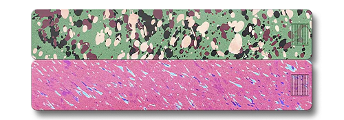 Weekly AM-PM Vitamin Case 2.0 - Image 23