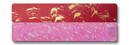 Weekly AM-PM Vitamin Case 2.0 - Image 24