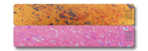 Weekly AM-PM Vitamin Case 2.0 - Image 26