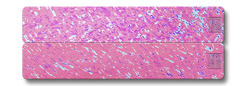 Weekly AM-PM Vitamin Case 2.0 - Image 27
