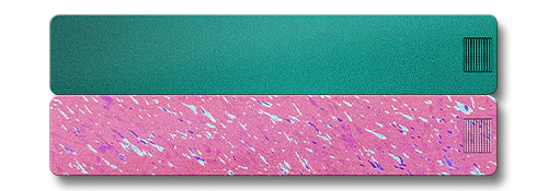 Weekly AM-PM Vitamin Case 2.0 - Image 28