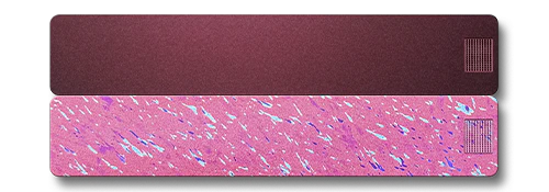 Weekly AM-PM Vitamin Case 2.0 - Image 31