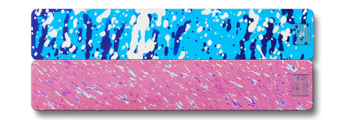 Weekly AM-PM Vitamin Case 2.0 - Image 33