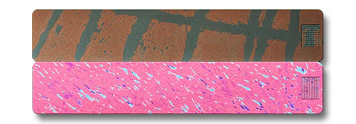 Weekly AM-PM Vitamin Case 2.0 - Image 34