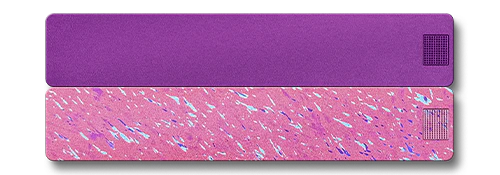 Weekly AM-PM Vitamin Case 2.0 - Image 7