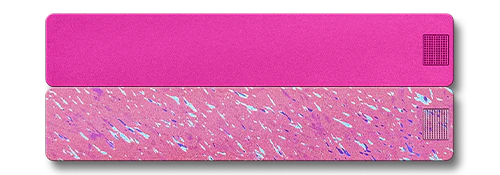 Weekly AM-PM Vitamin Case 2.0 - Image 8