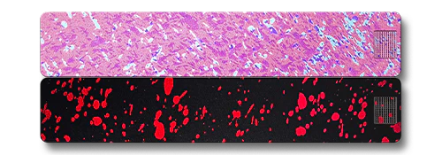 Weekly AM-PM Vitamin Case 2.0 - Image 27