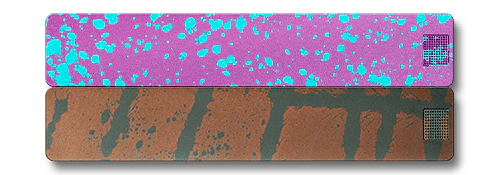 2-Week Vitamin Case 2.0 - Image 12