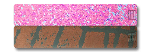 2-Week Vitamin Case 2.0 - Image 26