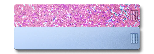 2-Week Vitamin Case 2.0 - Image 27