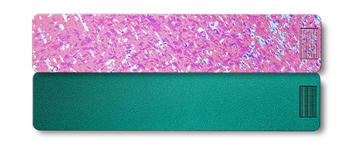 2-Week Vitamin XL Case 2.0 - Image 24