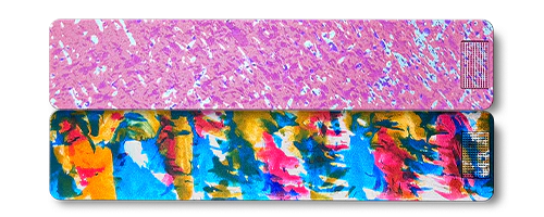 2-Week Vitamin XL Case 2.0 - Image 24