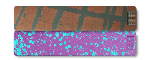 Weekly AM-PM Vitamin XL Case 2.0 - Image 28